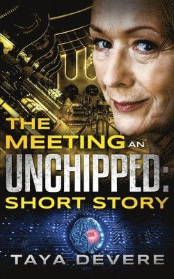 The Meeting an Unchipped Short Story 1