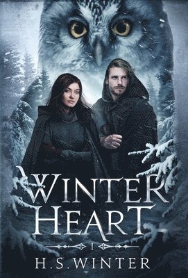 bokomslag Winter Heart