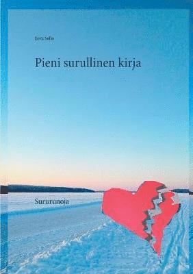 bokomslag Pieni surullinen kirja