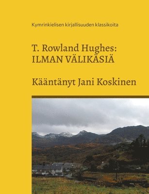 bokomslag Ilman välikäsiä