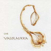 bokomslag Valolaukka