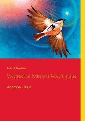 Vapaaksi Mielen Matriisista 1