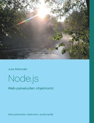 bokomslag Node.js