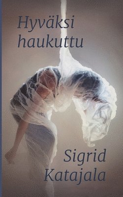 bokomslag Hyväksi haukuttu