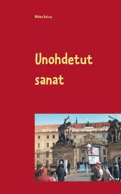 bokomslag Unohdetut sanat