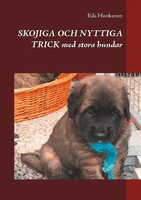 Skojiga och nyttiga trick med stora hundar 1