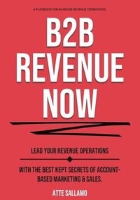 bokomslag B2B Revenue NOW