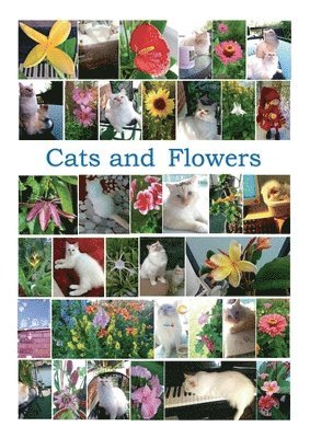 bokomslag Cats and Flowers