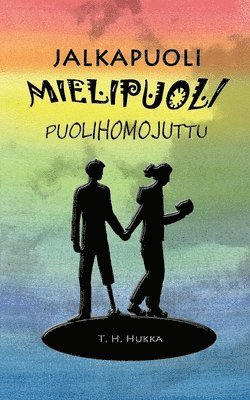 bokomslag Jalkapuolimielipuolipuolihomojuttu