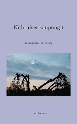 bokomslag Nuhruiset kaupungit