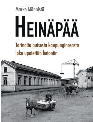 bokomslag Heinäpää