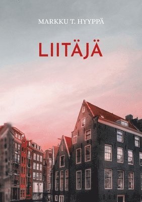 bokomslag Liitäjä