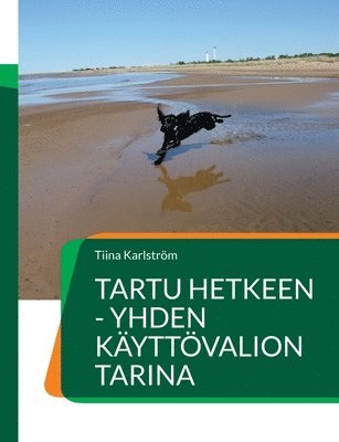 Tartu hetkeen - yhden käyttövalion tarina
