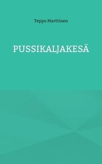 bokomslag Pussikaljakesä