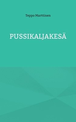 bokomslag Pussikaljakesä