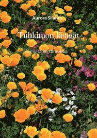 bokomslag Tuhkimon kengät