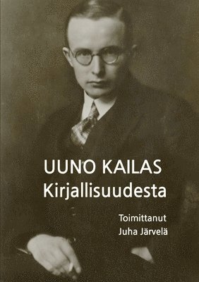 bokomslag Kirjallisuudesta