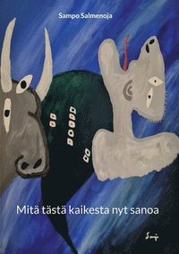 bokomslag Mitä tästä kaikesta nyt sanoa