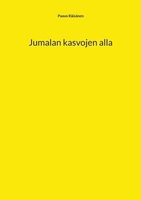 bokomslag Jumalan kasvojen alla
