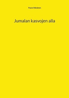 bokomslag Jumalan kasvojen alla