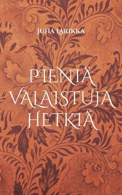 bokomslag Pieniä valaistuja hetkiä