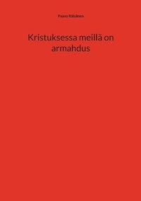 bokomslag Kristuksessa meillä on armahdus