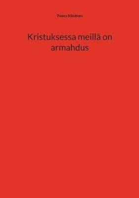 bokomslag Kristuksessa meillä on armahdus