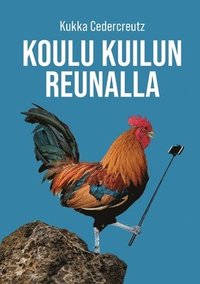 bokomslag Koulu kuilun reunalla
