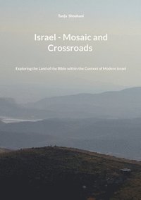 bokomslag Israel - Mosaic and Crossroads