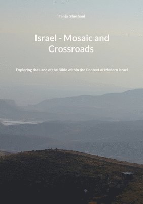 bokomslag Israel - Mosaic and Crossroads