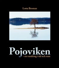 bokomslag Pojoviken – en vandring i tid och rum