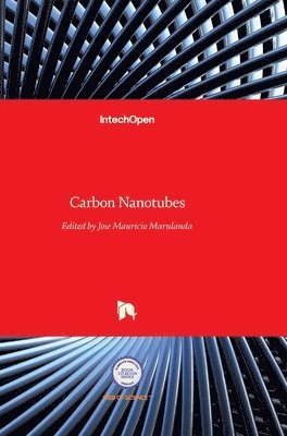 Jose Mauricio Marulanda - Carbon Nanotubes, Inbunden