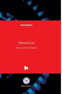 bokomslag Natural Gas