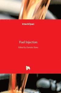 bokomslag Fuel Injection