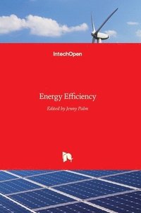 bokomslag Energy Efficiency