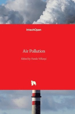 Vanda Villanyi - Air Pollution, Inbunden