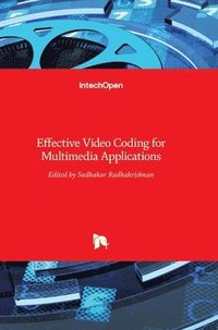 bokomslag Effective Video Coding for Multimedia Applications