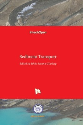 Silvia Susana Ginsberg - Sediment Transport, Inbunden