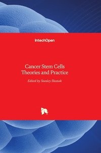 bokomslag Cancer Stem Cells: Theories and Practice
