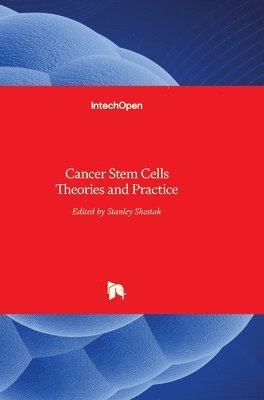 bokomslag Cancer Stem Cells: Theories and Practice