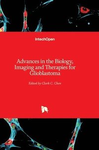 bokomslag Advances In The Biology, Imaging And Therapies For Glioblastoma