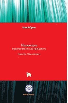 bokomslag Nanowires: Implementations and Applications