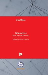 bokomslag Nanowires: Fundamental Research