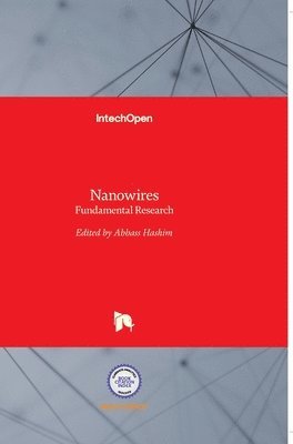 bokomslag Nanowires: Fundamental Research