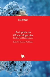 bokomslag Update On Glomerulopathies