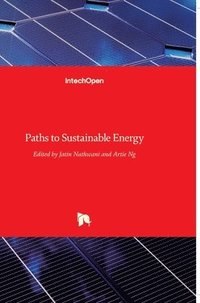 bokomslag Paths to Sustainable Energy