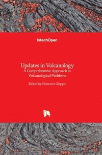bokomslag Updates In Volcanology