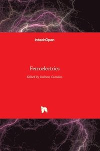 bokomslag Ferroelectrics
