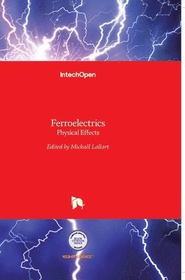 Mickaël Lallart - Ferroelectrics, Inbunden