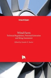bokomslag Wind Farm: Technical Regulations, Potential Estimation and Siting Assessment